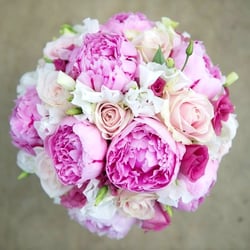 Flowers by Jemma Holmes