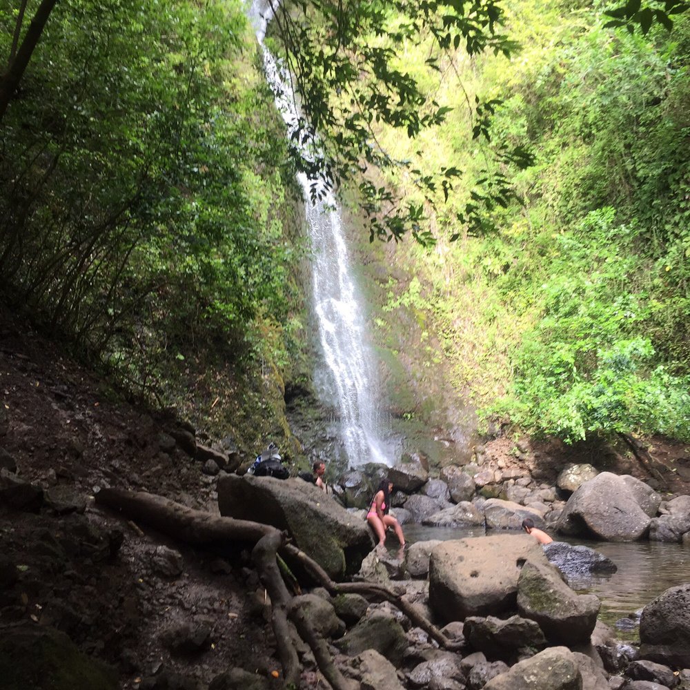 Lulumahu Falls - After hike swim - Hiking Near Me - Honolulu, Hawaii Lulumahu Falls - After hike swim - Hiking Near Me - Honolulu, Hawaii