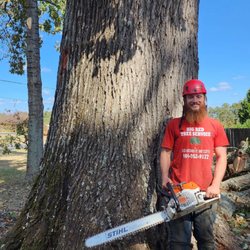Big Red Tree Service