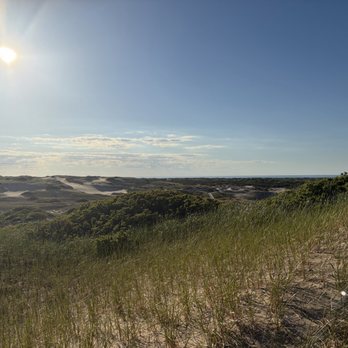 Art's Dune Tours - Tours Near Me - Provincetown, Massachusetts Art's Dune Tours - Tours Near Me - Provincetown, Massachusetts