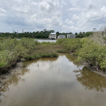 Betty Steflick Memorial Preserve - Homes across the Intracoastal Waterway. - Parks Near Me - Flagler Beach, Florida Betty Steflick Memorial Preserve - Homes across the Intracoastal Waterway. - Parks Near Me - Flagler Beach, Florida