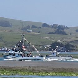 Westside Regional Park - Bodega Bay Fisherman's Festival (boat parade)