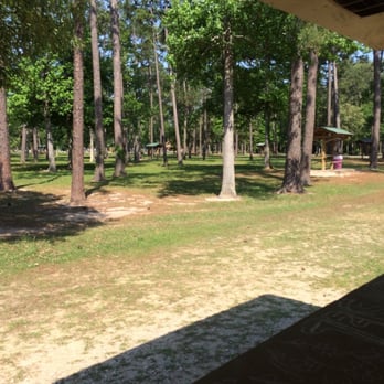 Claiborne West Park - Trees - Parks Near Me - Vidor, Texas Claiborne West Park - Trees - Parks Near Me - Vidor, Texas
