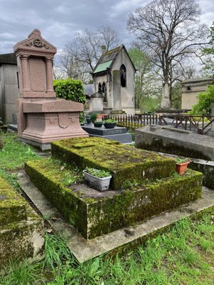 Cimetière de Montmartre by null