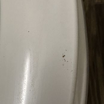 Best Western Plus Waltham Boston - Dirty toilet - Hotels Near Me - Waltham, Massachusetts
