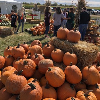 Kelsay Farms - Pumpkins! - Attraction Farms Near Me - Whiteland, Indiana Kelsay Farms - Pumpkins! - Attraction Farms Near Me - Whiteland, Indiana