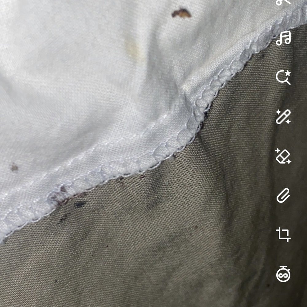 Satterwhite Point Marina - Bed bugs - Boating Near Me - Henderson, North Carolina Satterwhite Point Marina - Bed bugs - Boating Near Me - Henderson, North Carolina