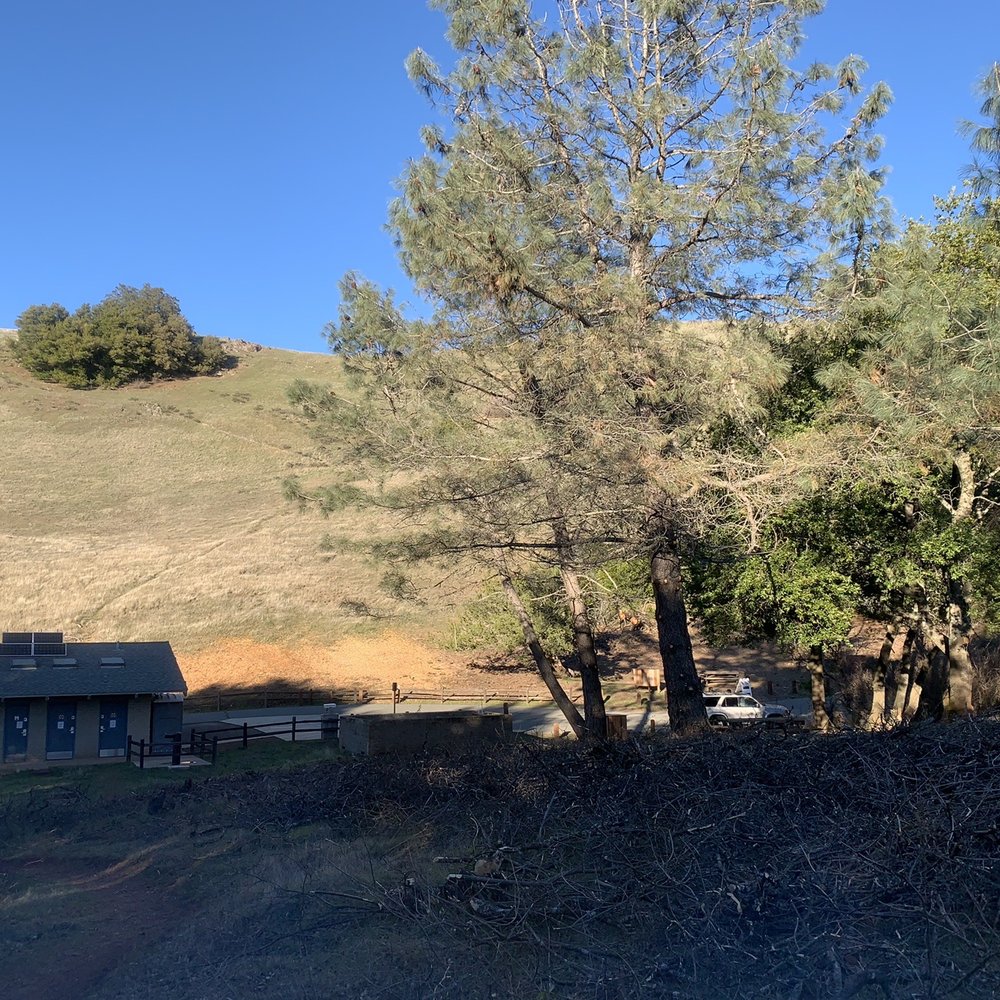 Mount Diablo State Park - 2/21/2021:  HB Present from me to me~I get to go camping for my birthday-YAY!!!!  I'm in complete solitude-Campsite J26. - Parks Near Me - Clayton, California