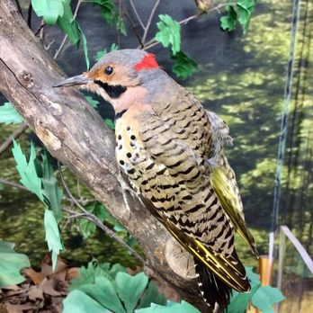 Eagle Creek Park - Ornithology Center - Parks Near Me - Indianapolis, Indiana Eagle Creek Park - Ornithology Center - Parks Near Me - Indianapolis, Indiana