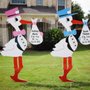 Photo of Jenny's Storks