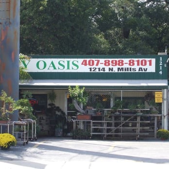 City Oasis - Gift Shops Near Me - Orlando, Florida City Oasis - Gift Shops Near Me - Orlando, Florida