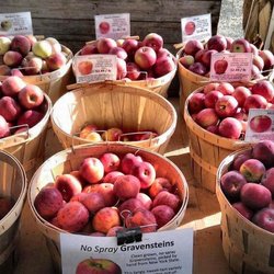 Keystone Cider Mill
