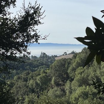 Roberts Regional Recreation Area - Beautiful view of fog cover - Parks Near Me - Oakland, California