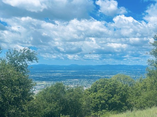Taylor Mountain Regional Park by null