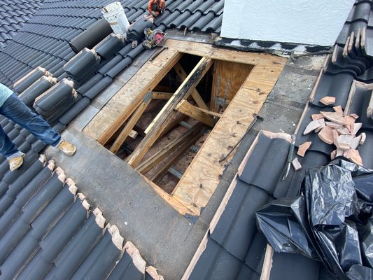 RainShield Roofing Logo