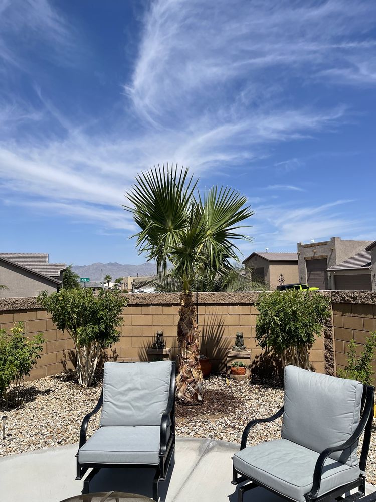 AL’S LANDSCAPING SERVICES OF LAUGHLIN Updated October 2024 19