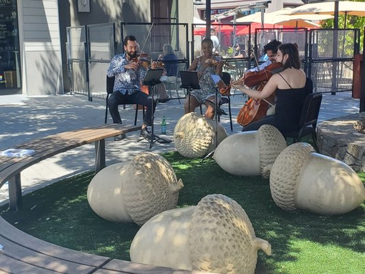 Music in the Vineyards by null