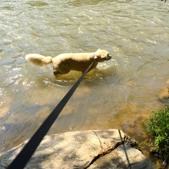 Whitewater Creek Trail - My pup keeps jumping into the river along the trail =) - Hiking Near Me - Atlanta, Georgia Whitewater Creek Trail - My pup keeps jumping into the river along the trail =) - Hiking Near Me - Atlanta, Georgia
