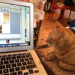 Octane Coffee & Tea Haus - My study buddy