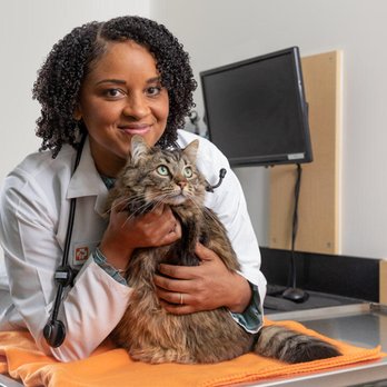 Banfield Pet Hospital - Veterinarians Near Me - Eugene, Oregon