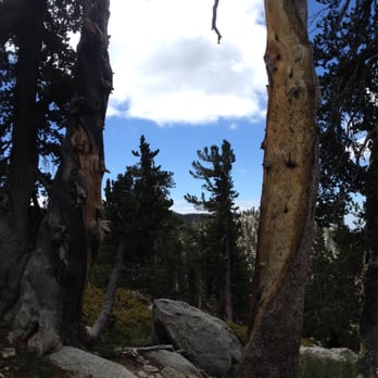 Mount San Jacinto State Park - Parks Near Me - Idyllwild, California Mount San Jacinto State Park - Parks Near Me - Idyllwild, California