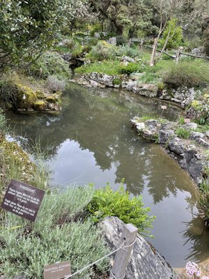Conservatoire et Jardin botaniques de Genève by null