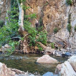 Fish Canyon Narrows