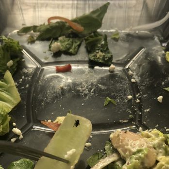 Windsor - You know the feeling when you get through your entire salad just to find a bug in it... - New American Near Me - Phoenix, Arizona