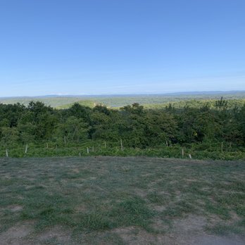 Benmarl Winery - Nature - Wineries Near Me - Marlboro, New York Benmarl Winery - Nature - Wineries Near Me - Marlboro, New York
