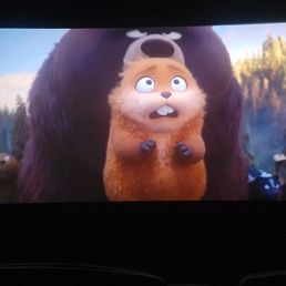 Theater screen
