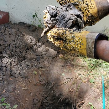 Local Drain Specialist - Wipes from our house cleaning company - Plumbing Near Me - Martinez, California Local Drain Specialist - Wipes from our house cleaning company - Plumbing Near Me - Martinez, California