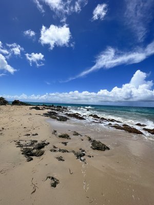 El Gallito ( Gringo Beach ) by null