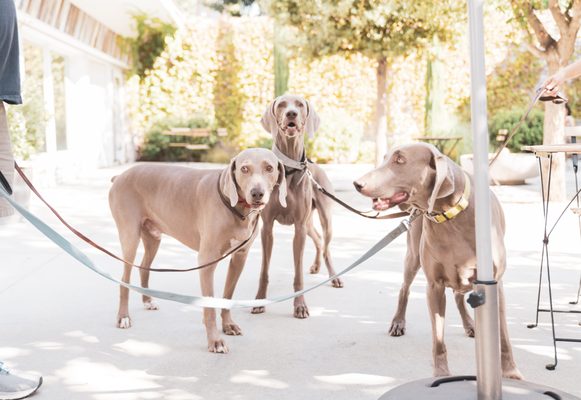 Valley Country Market by null