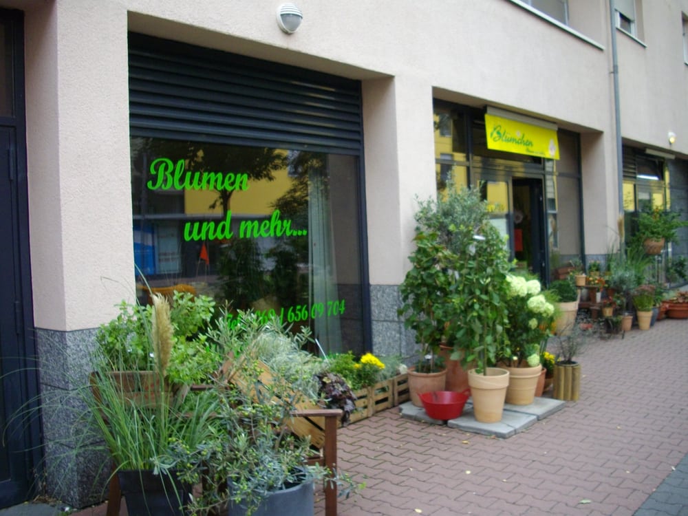 BLÜMCHEN BLUMEN UND MEHR Voltastr. 74, Frankfurt am Main, Hessen