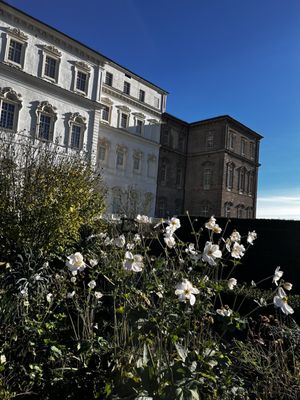 La Venaria Reale by null
