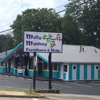 R Lee Shannon, CPA - Molly Monkey Kid Store - Accountants Near Me - Louisville, Kentucky R Lee Shannon, CPA - Molly Monkey Kid Store - Accountants Near Me - Louisville, Kentucky