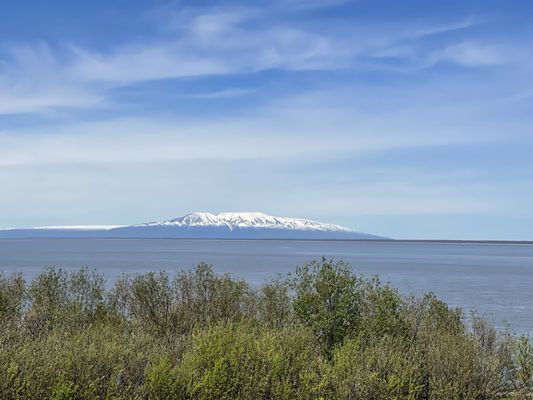 Tony Knowles Coastal Trail by null