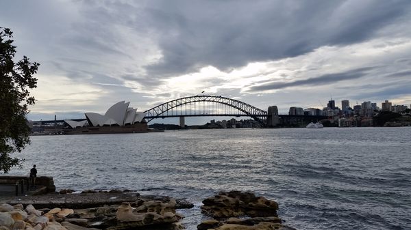 Mrs Macquarie's Chair by null
