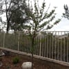 AIM Landscape & Irrigation gift card