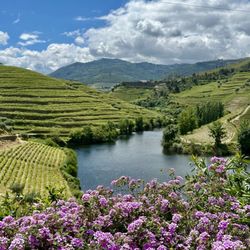 Quinta do Tedo - View