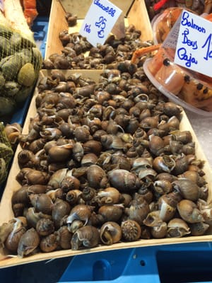 La Medusa 73 by null