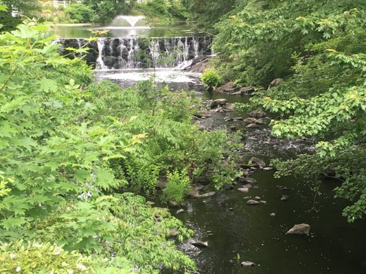 Mercantile at GrayBarns by null