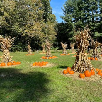 Strawberry Hollow Farm - The Pumpkin Patch - Farms Near Me - Guilford, Connecticut Strawberry Hollow Farm - The Pumpkin Patch - Farms Near Me - Guilford, Connecticut