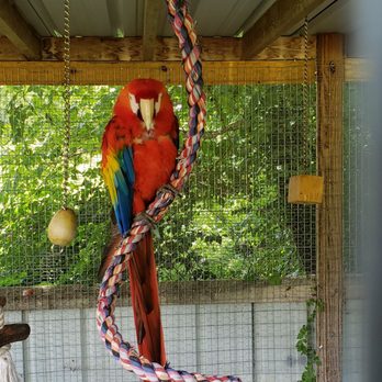 Briarwood Ranch Safari Park - Parks Near Me - Bybee, Tennessee Briarwood Ranch Safari Park - Parks Near Me - Bybee, Tennessee