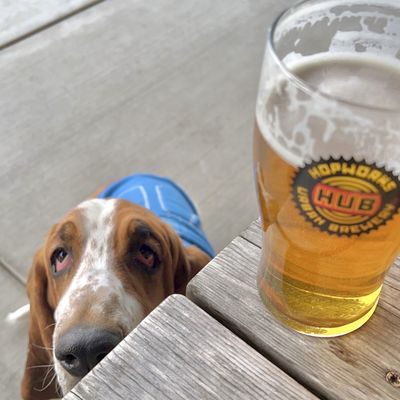 Hopworks Brewery - Vancouver by null