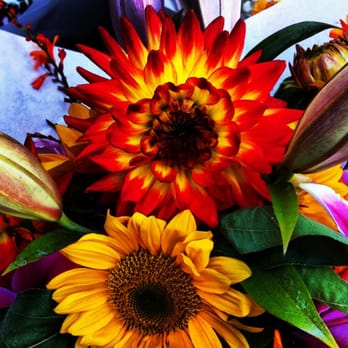 Edmonds Museum Summer Market - Flowers for sale - Farmers Market Near Me - Edmonds, Washington