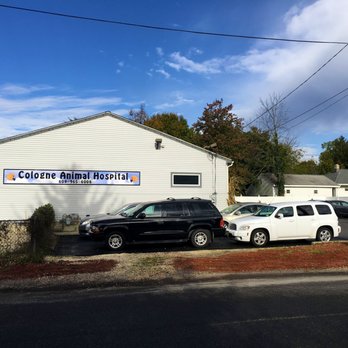 Cologne Animal Hospital - Veterinarians Near Me - Cologne, New Jersey