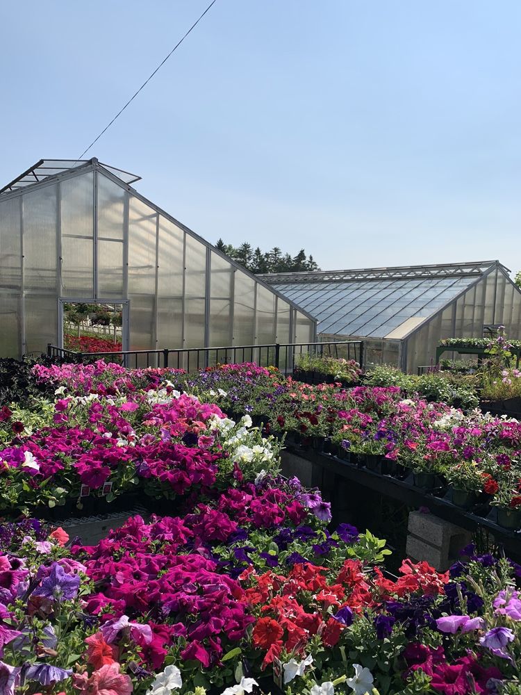 LITTON’S GREENHOUSE Updated October 2024 3113 National Pike, Centerville, Pennsylvania