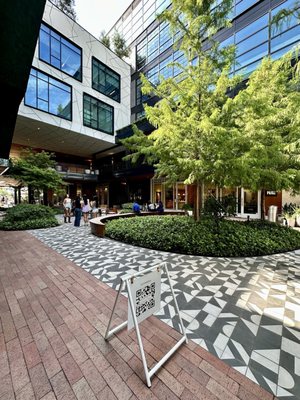 Montrose Collective by null