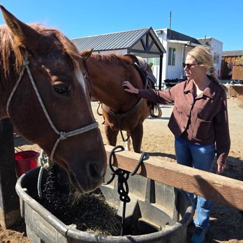 Ocean View Stables - Hope getting some love. - Horseback Riding Near Me - Daly City, California